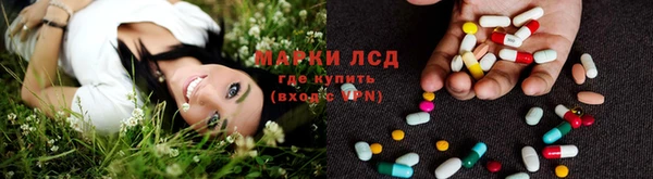 PSILOCYBIN Лабытнанги