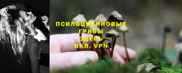 2c-b Балабаново