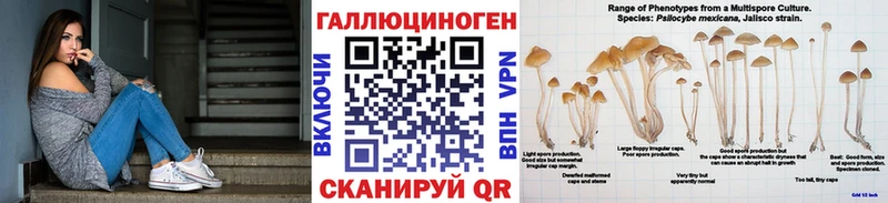 Псилоцибиновые грибы мицелий  где найти наркотики  Вытегра 